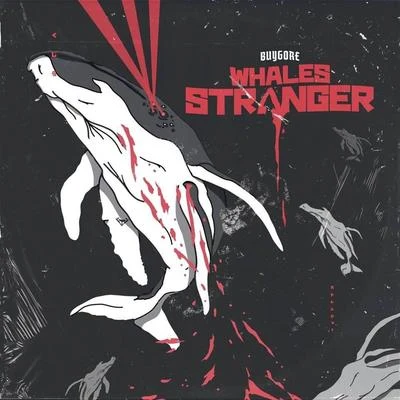 Stranger 專輯 Garrett Raff/Whales/CORTR/MICA/Cloverdale