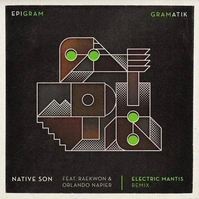 Native Son (Electric Mantis Remix) 專輯 Electric Mantis