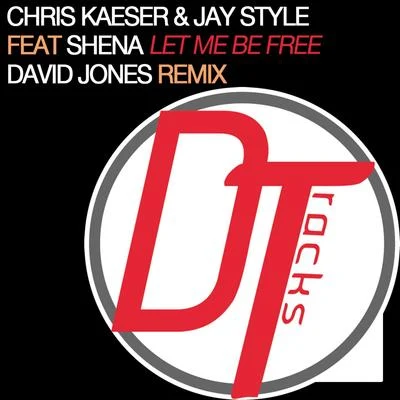 ShenaDJ Ivan Roudyk Let Me Be Free (David Jones Remix)