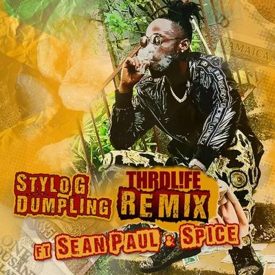 Dumpling (THRDL!FE Remix) 专辑 Spice/Destra