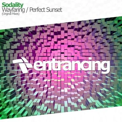 WayfaringPerfect Sunset 專輯 Sodality/Nitrous Oxide