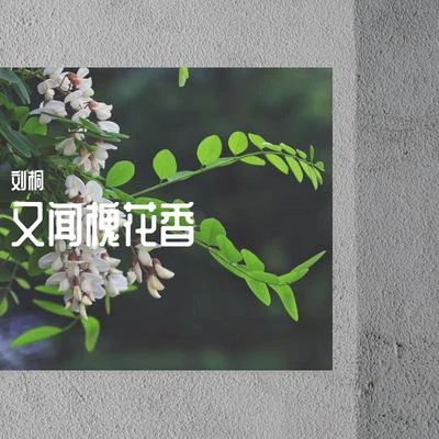 刘桐孔庆学 又闻槐花香