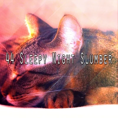 Baby Lullaby 44 Sleepy Night Slumber