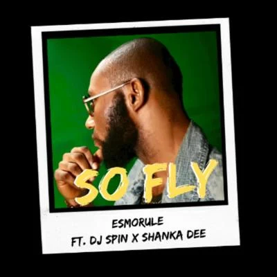 So Fly (feat. Dj Spin & Shanka Dee) 專輯 DJ Spin