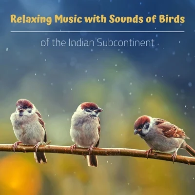 Relaxing Music with Sounds of Birds of the Indian Subcontinent 专辑 Bird Sounds