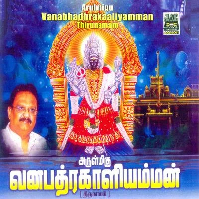 Arulmigu Vanabhadhrakaaliyamman Thirunamam 专辑 Vidyasagar/S. P. Balasubrahmanyam