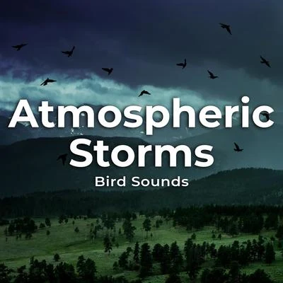 Atmospheric Storms 专辑 Bird Sounds