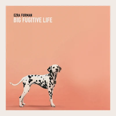 Big Fugitive Life 專輯 Ezra Furman