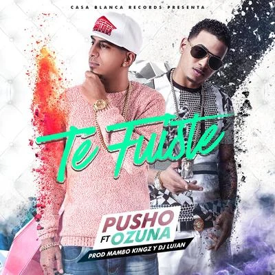 Te Fuiste 專輯 Pusho