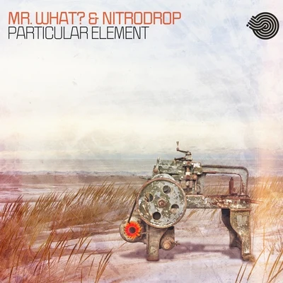 Particular Element 專輯 Mr.what?/Cosmic Flow