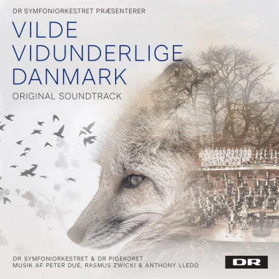 Vilde Vidunderlige Danmark (Music from the Original TV Series) 專輯 Danish National Symphony Orchestra