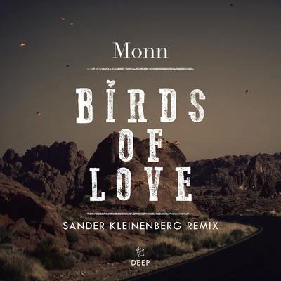 Birds Of Love (Sander Kleinenberg Remix) 专辑 Monn