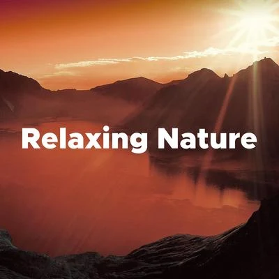 Relaxing Nature: Music to Sleep to 專輯 Classical Music Songs/Classical Lullabies/Classical Christmas Music