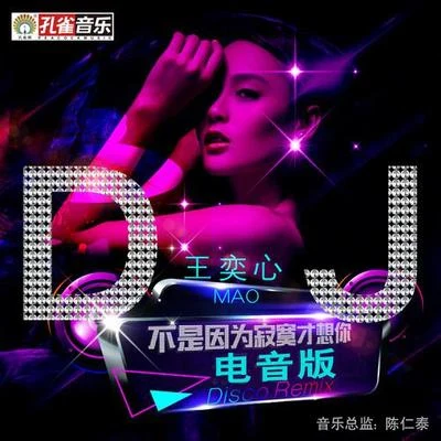 不是因为寂寞才想你（DJ电音版Remix） 专辑 王奕心