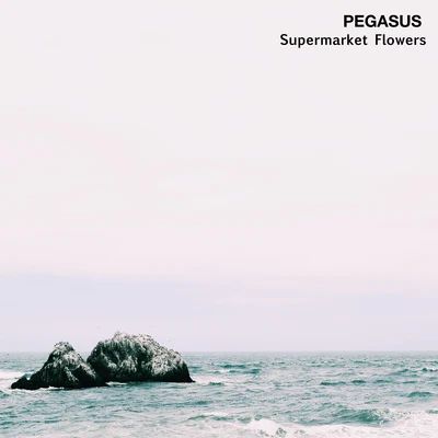 Supermarket Flowers 專輯 Pegasus