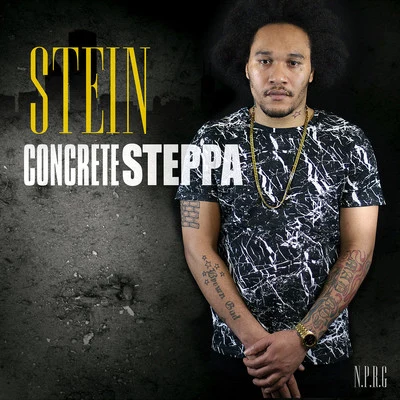 Concrete Steppa 專輯 Papercut/Stein