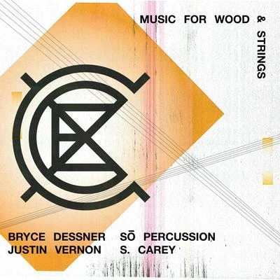 Bryce DessnerAaron DessnerFeist Music for Wood and Strings (Translucent Remake)