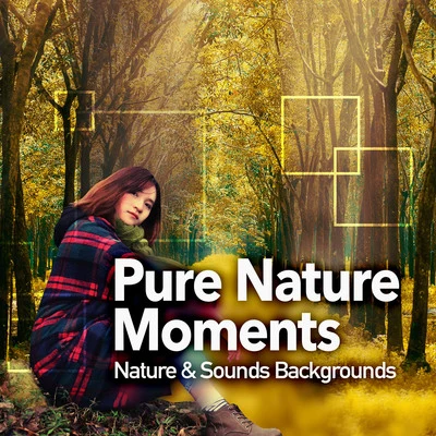 Pure Nature Moments 專輯 Nature & Sounds Backgrounds