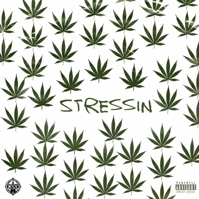 Stressin 專輯 Problem/IamSu