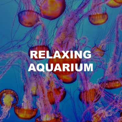 Relaxing Aquarium 專輯 Ocean Sounds ASMR