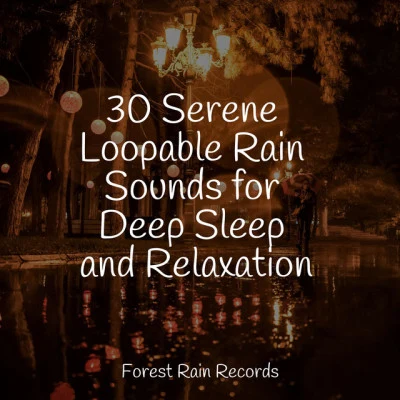 30 Serene Loopable Rain Sounds for Deep Sleep and Relaxation 專輯 Entspannungsmusik Meer