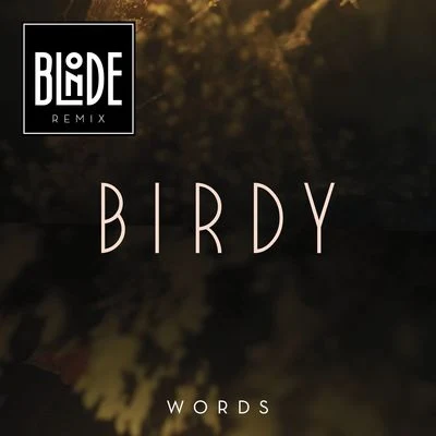 Words (Blonde Remix) 专辑 BIRDY