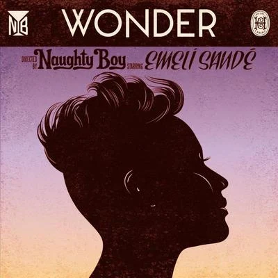 Wonder (feat. Emeli Sandé) 專輯 Naughty Boy