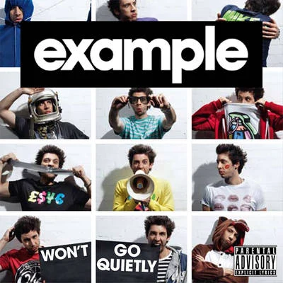 Wont Go Quietly (Deluxe Version) 專輯 Example