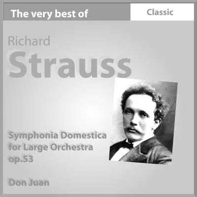 The Very Best of Richard Strauss: Symphonia domestica for Large Orchestra, Op. 53 專輯 Orchestra del Teatro alla Scala di Milano/Enrico Molinari/Ida Mannarini/Lorenzo Molajoli/Gaetano Donizetti