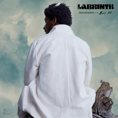 Labrinth Where The Wild Things