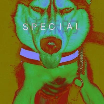 ＳＰＥＣＩＡＬ( 特 殊 的 ) 专辑 YH34/C.D/文艺复兴音乐学院/Mo Bugz/Quintino & Blasterjaxx