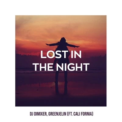 Lost in the Night 专辑 DJ DimixeR/Syntheticsax