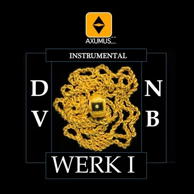 Werk I (Instrumental) 專輯 DVNB/AXUMUS