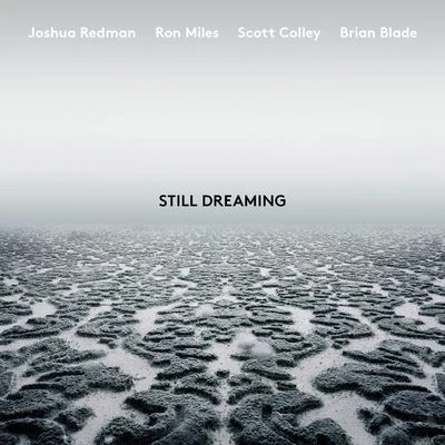 Eirik HegdalTrondheim Jazz OrchestraJoshua Redman Still Dreaming (feat. Ron Miles, Scott Colley & Brian Blade)