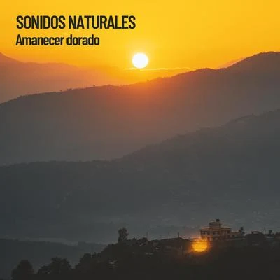 Sonidos Naturales: Amanecer dorado 专辑 Rest & Relax Nature Sounds Artists