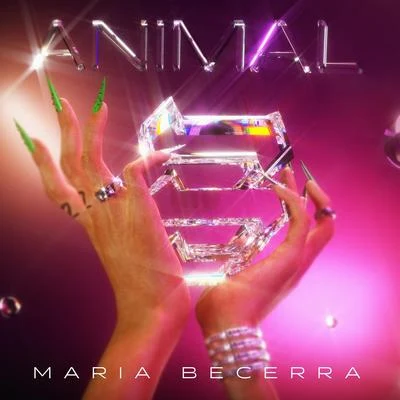 Animal 專輯 Juan Arnedo/juan arnedo dj/Tiago PZK/Maria Becerra