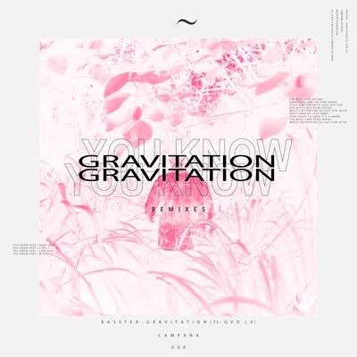 Rasster Gravitation (The Remixes)