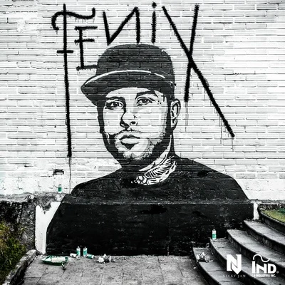 Nicky Jam Fénix