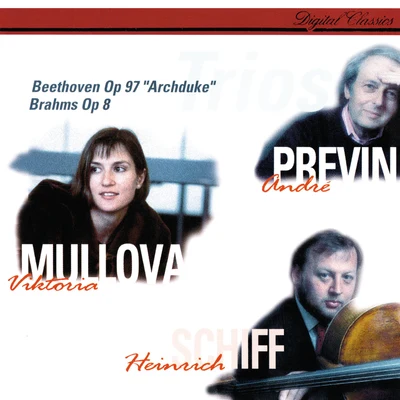 Piano Trio No.7 in B flat, Op.97 "Archduke" 專輯 Viktoria Mullova