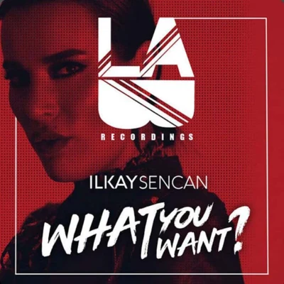 Ilkay SencanYves VQuintino & Blasterjaxx What You Want