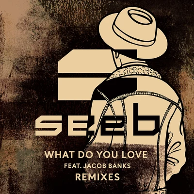 What Do You Love (Remixes) 專輯 Seeb/Skip Marley