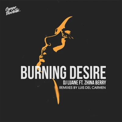 Burning Desire (feat. Zhina Berry) 專輯 Dj Luane/RAY¥ BR/Skullwell