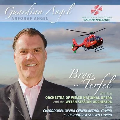 Guardian Angel 专辑 Bryn Terfel