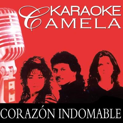 Karaoke Camela Solo Por Ti Playback 專輯 Camela