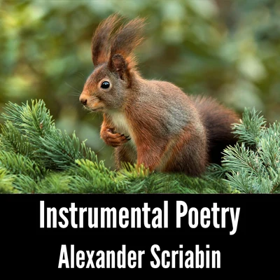 Instrumental Poetry: Alexander Scriabin 專輯 Alexander Scriabin