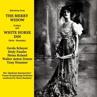 Selections From Two Operettas 專輯 Arthur Rebner/Franz Engel/Hans Haller/Alfred Grünwald/Salpeter