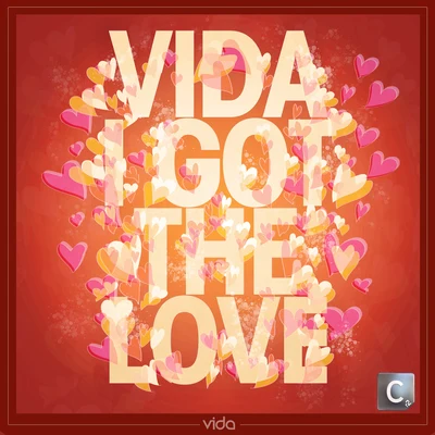 Vida I Got The Love