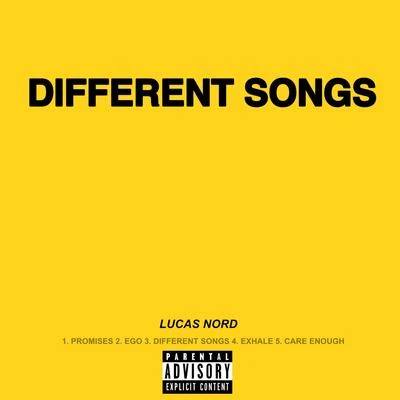 Different Songs 专辑 Lucas Nord