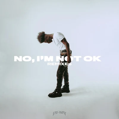 No, I&#x27;m Not Ok (Remixes) 专辑 Flori del Pino/Jay-Way