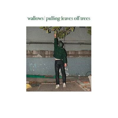 Pulling Leaves off Trees 专辑 Solomonophonic/Wallows/Remi Wolf